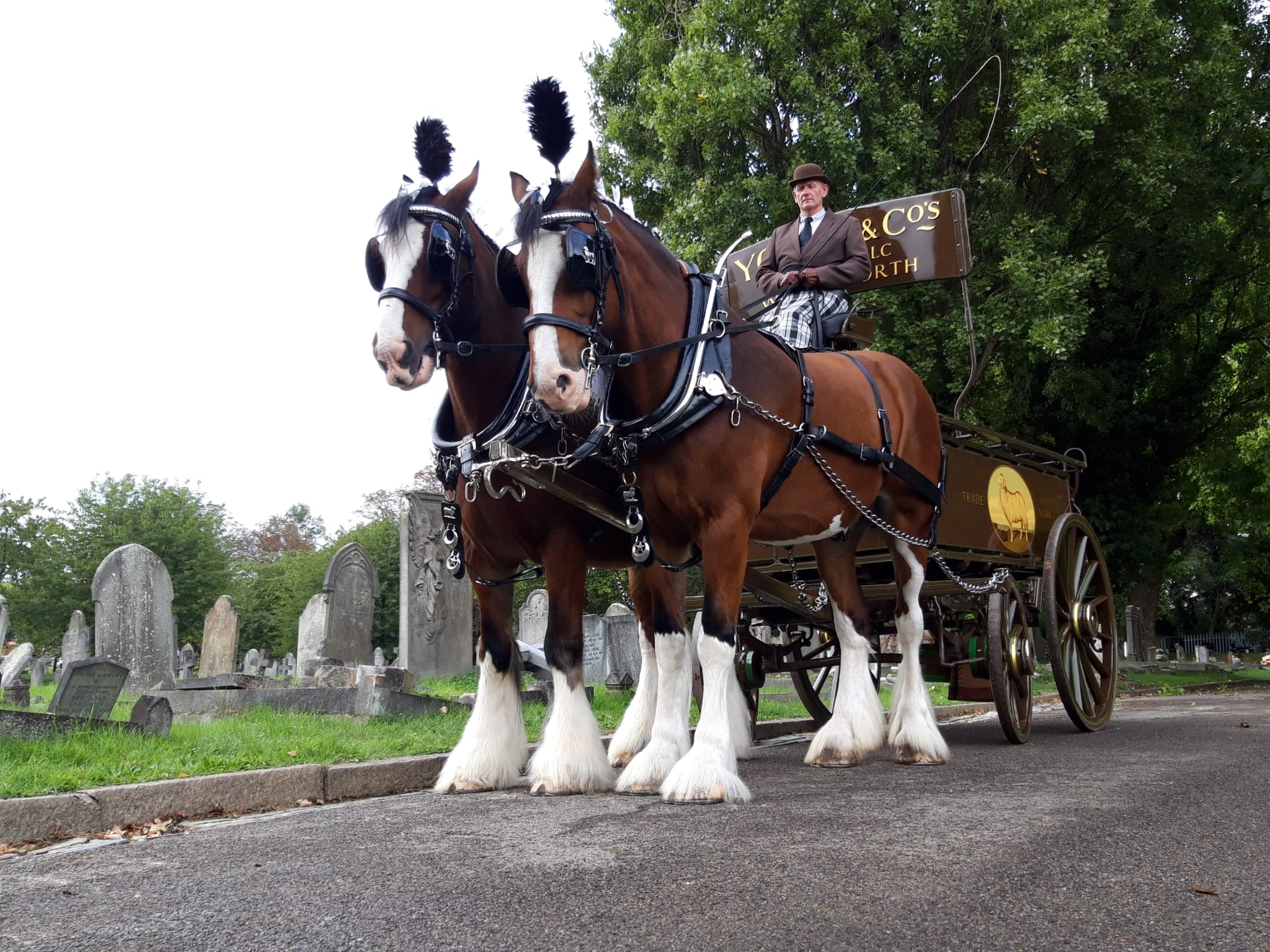 Waldburg Shires Heavy Horses